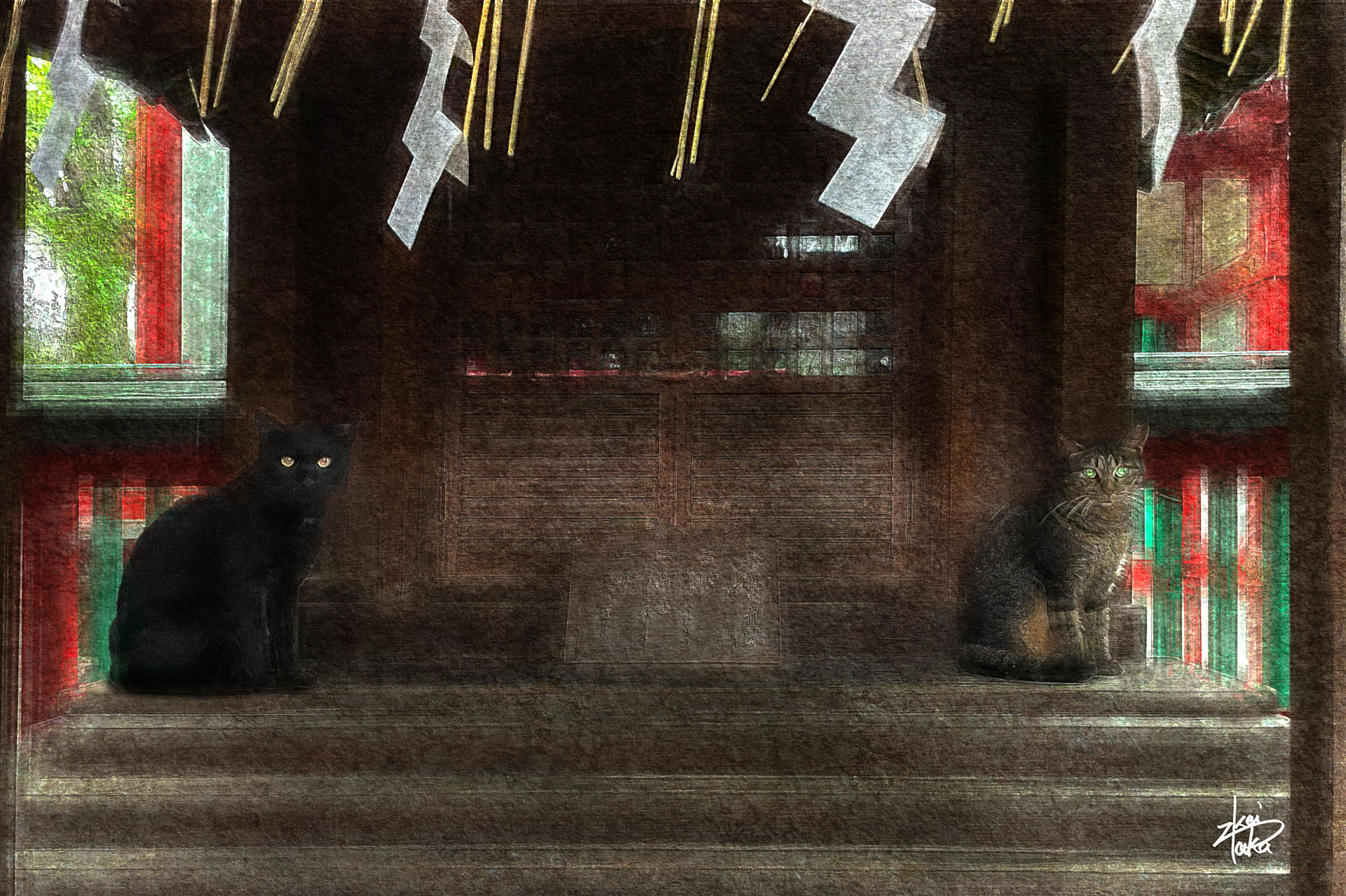 Two cats with beautiful eyes sitting in front of a building dedicated to a god at a shrine in Tokyo.