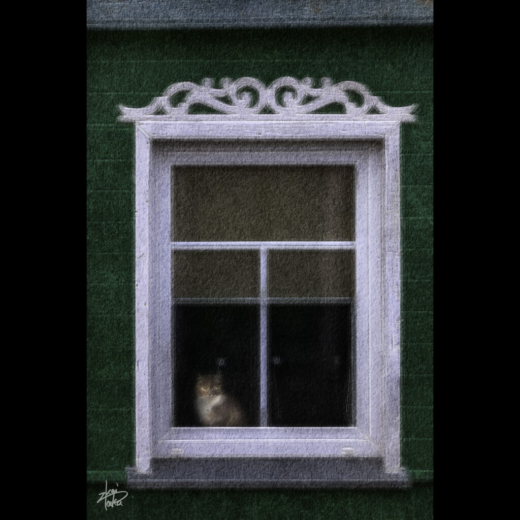 Cute cat at the window of a colorful house in Trakai, Lithuania.