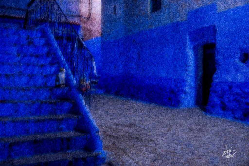 A cat sits on a staircase at night in Chefchaouen, the blue city of Morocco