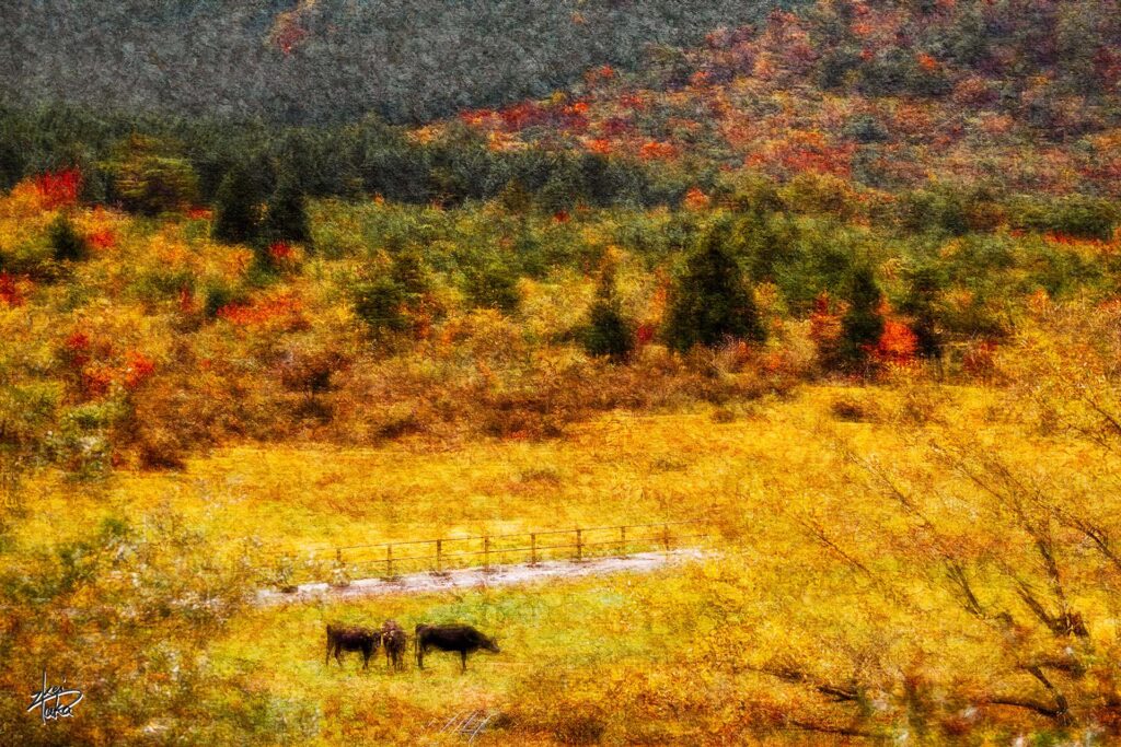 Autumn colors of Unzen ranch, Nagasaki, Japan