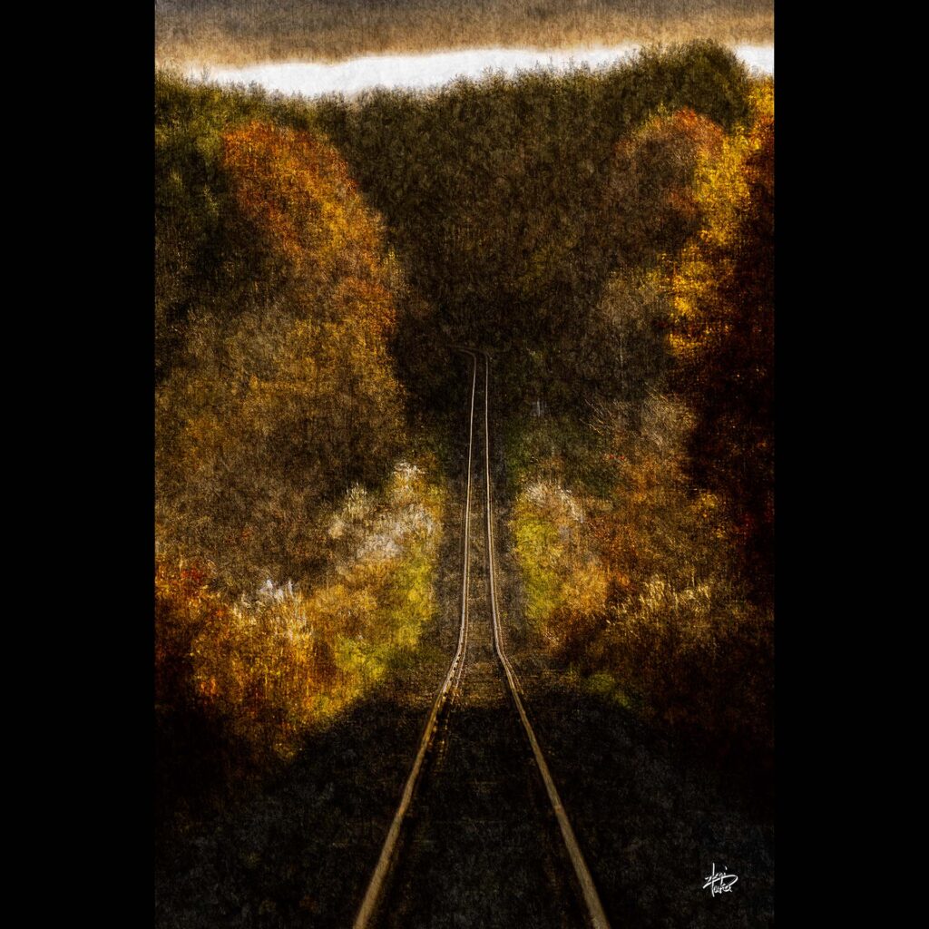 Railroad tracks laid out in a forest of autumn leaves that emit vivid colors in the evening sun.