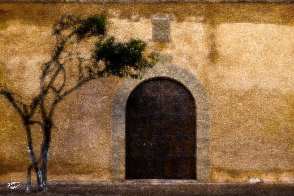 Beautiful walls and a cat relaxing at Place Oudaya in Rabat,Morocco