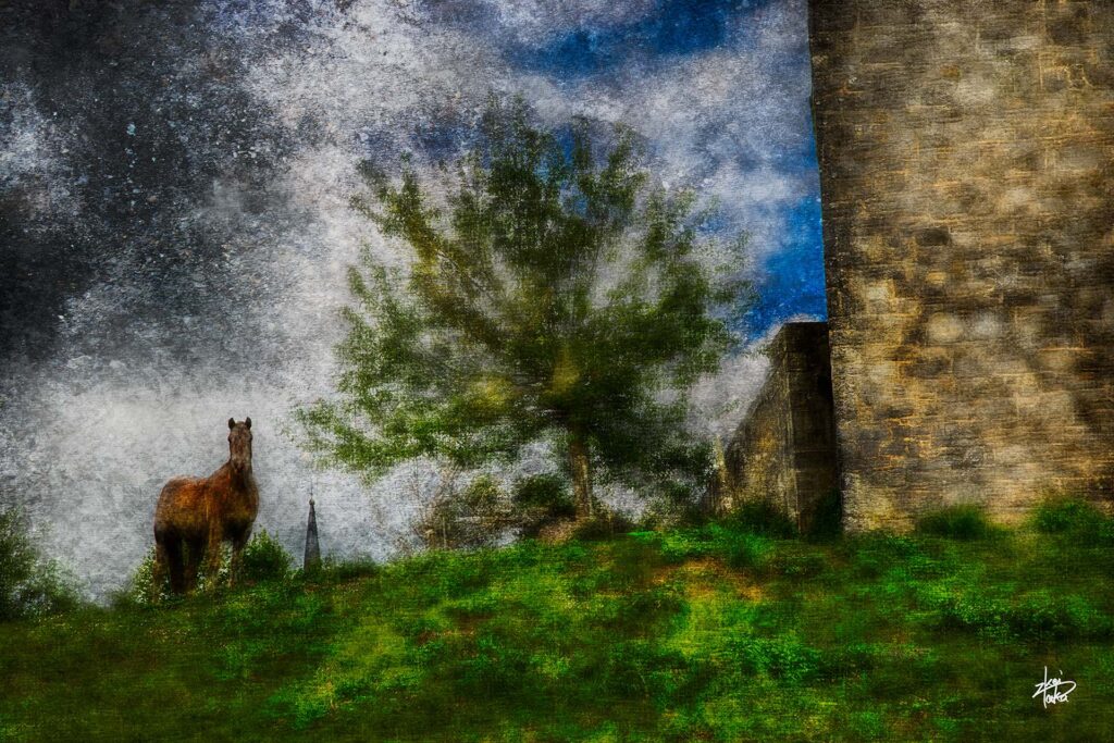 Stared at by a horse. An impressive sight in Chardonneux, one of the most beautiful villages in Belgium