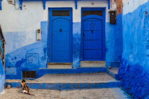 Cat living in Chefchaouen, the blue city of Morocco