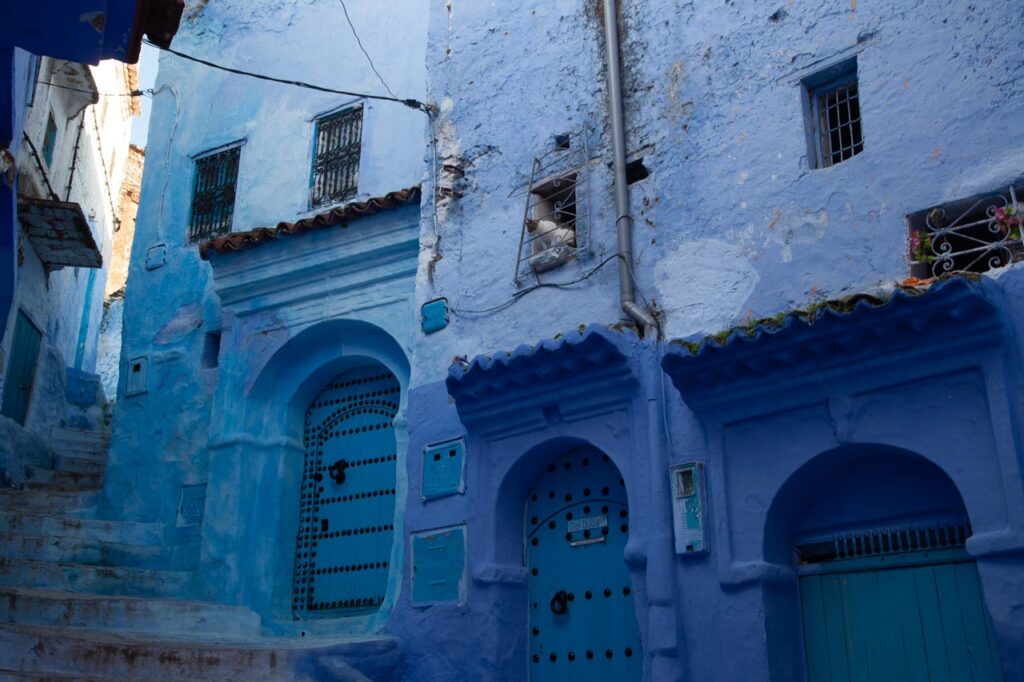 Cat looking out of window, Chefchaouen, the blue city of Morocco