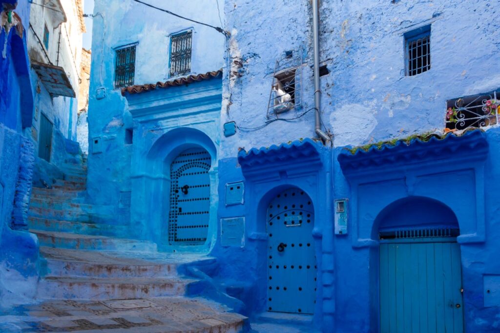 Cat looking out of window, Chefchaouen, the blue city of Morocco