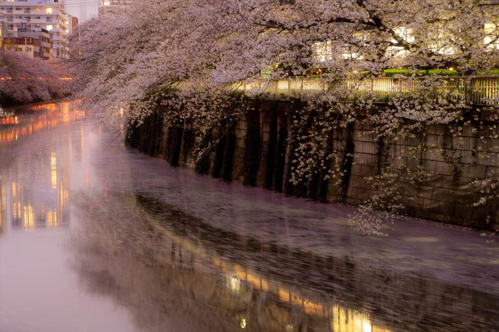 Flower raft, Meguro River, Tokyo