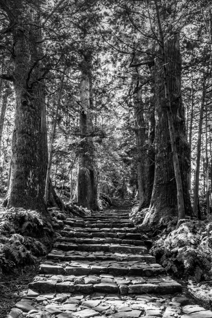 Kumano Kodo, Wakayama Prefecture　
Daimonzaka