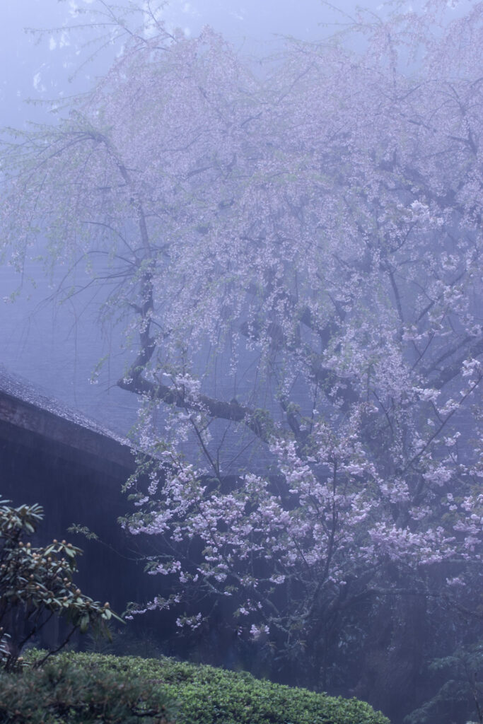 Yoshinoyama, Nara PrefectureYoshino mikumari shrine