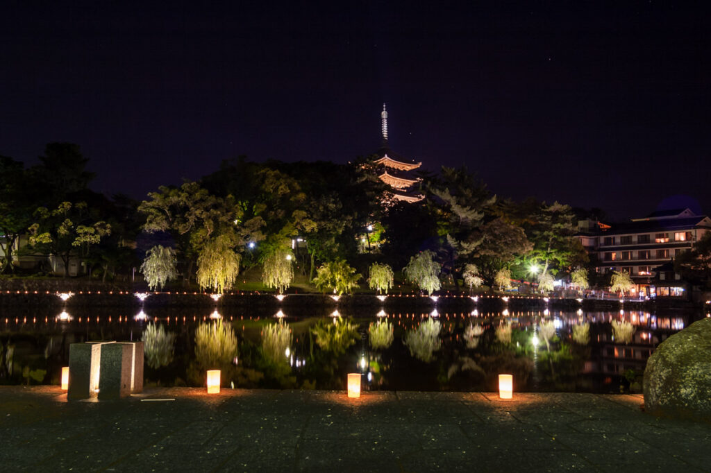 Night shot of illuminated nara park ,nara,japan