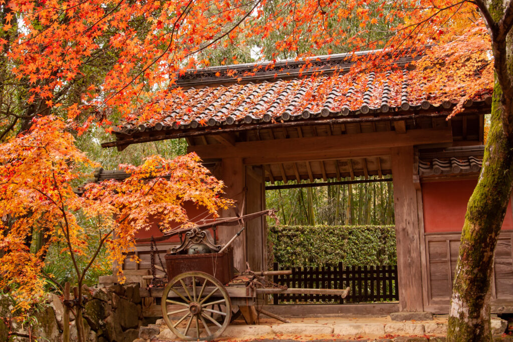 Kongorinji temple,shiga,japan