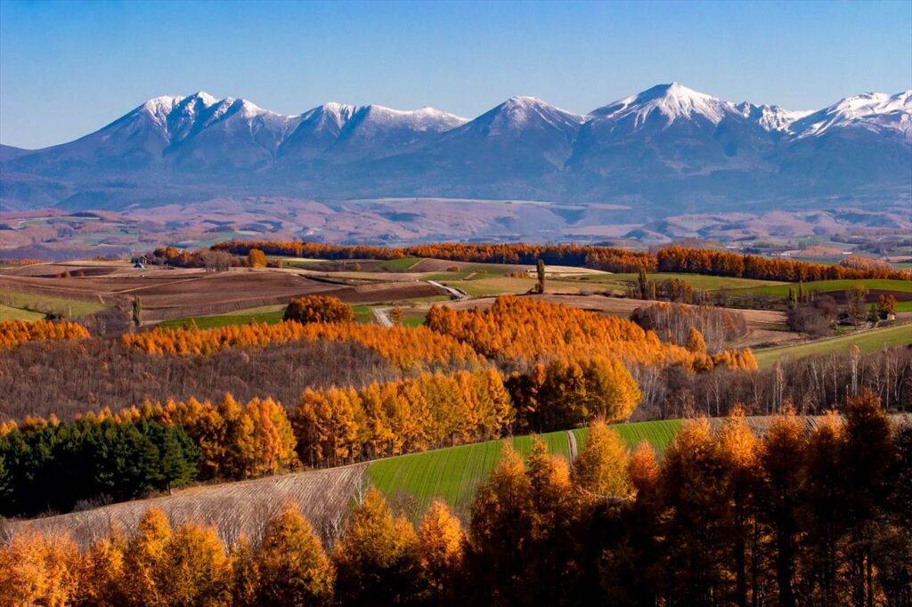 Autumn,Goryo district,biei,Hokkaido,japan