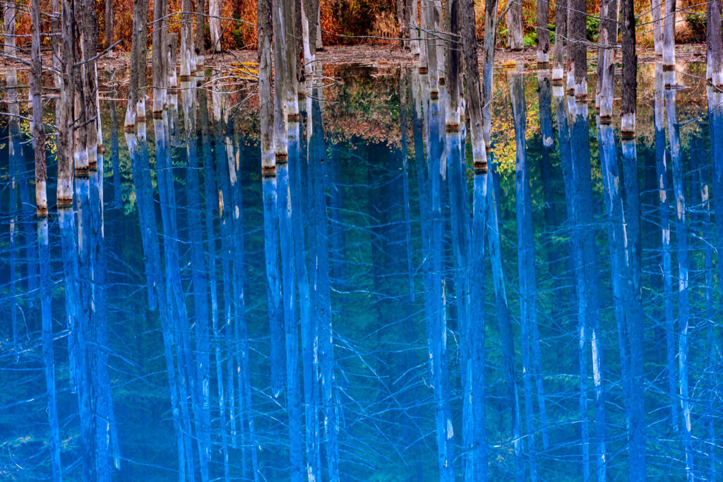 Shirigane Blue pond at biei,hokkaido,japan