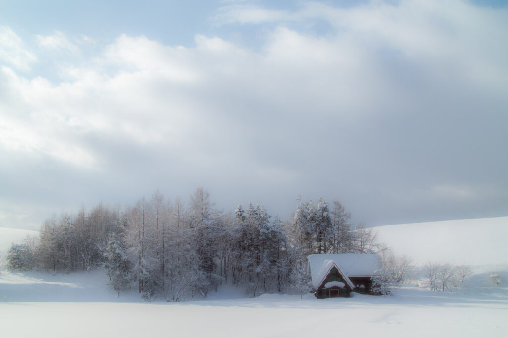 winter,sonwy scenery at biei,hokkaido,japan