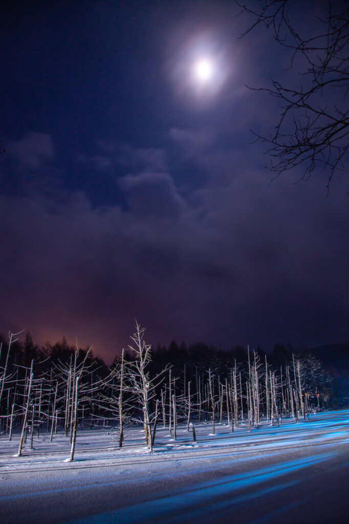 Illuminated shirogane blue pond in winter,biei,hokkaido,japan