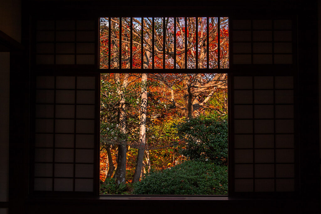 Genkoan red leaves