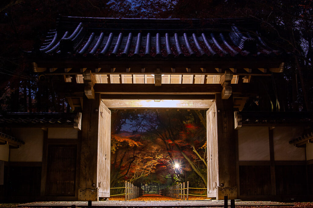 Koumyouji Temple Yakuimon Gatered leaves