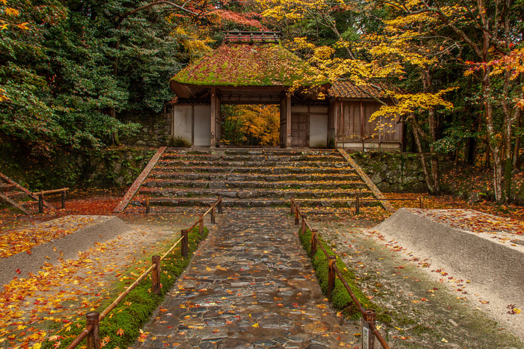 red leaves、Honenin temple,kyoto