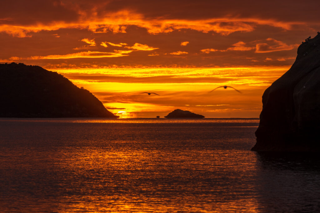 Hahey、 Cathedral Cove