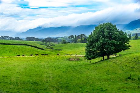 Old Te Aroha Road at Okauia in New Zealand