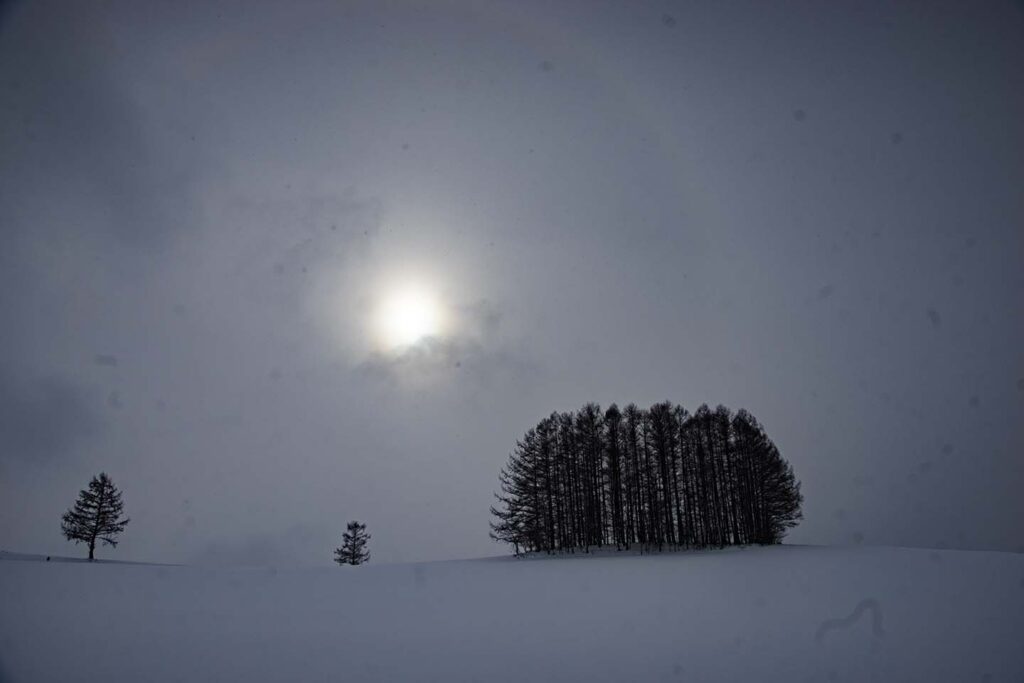 Sensor dust reflected heavily when photographing snowy landscapes