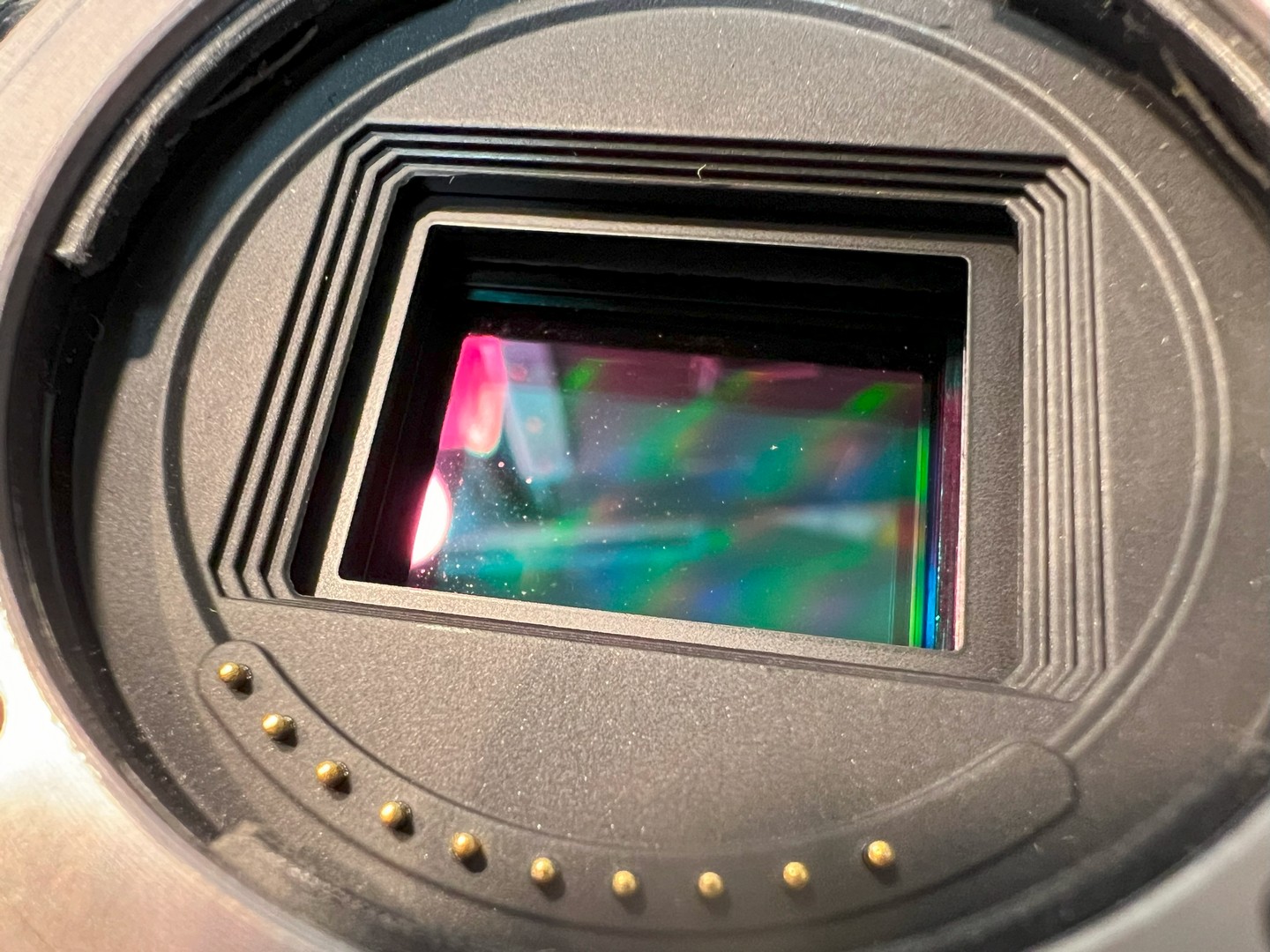 Sony Alpha series sensor cleaning with a commercial kit.