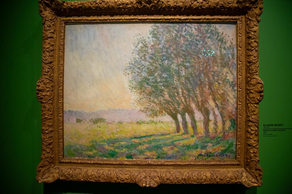 image of Claude Monet work at Musée Marmottan Monet