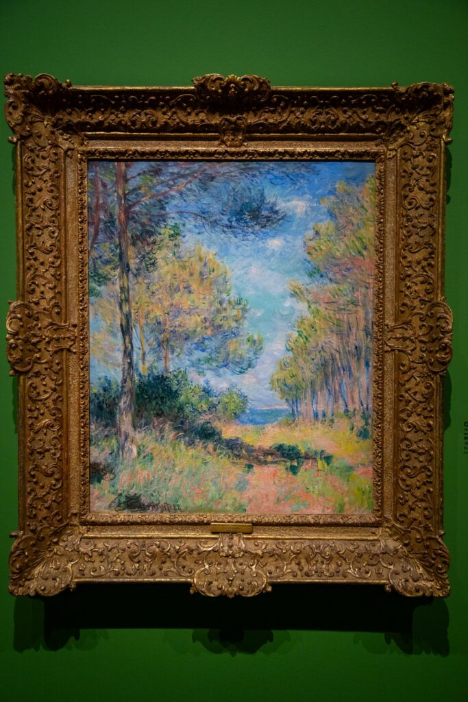 image of Claude Monet work at Musée Marmottan Monet