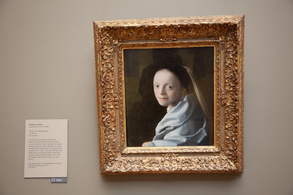 Vermeer work in the collection of the Metropolitan Museum of Art