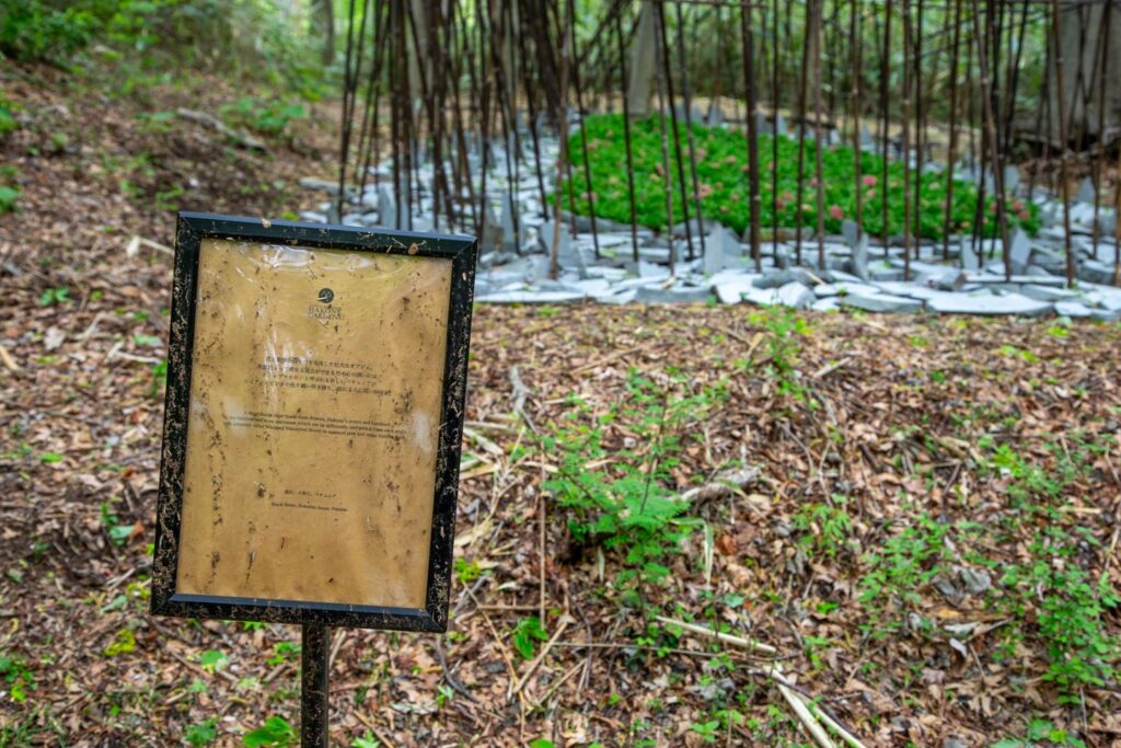 image of Nicolai Bergmann Hakone Gardens