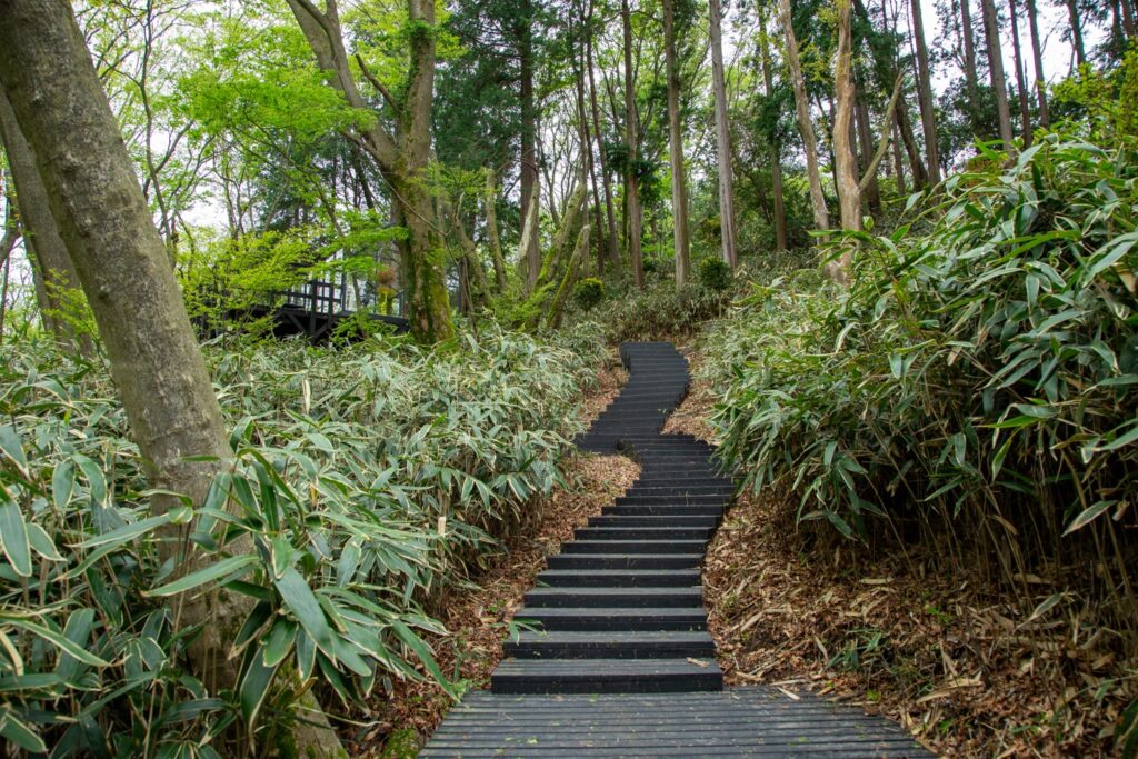 image of Nicolai Bergmann Hakone Gardens