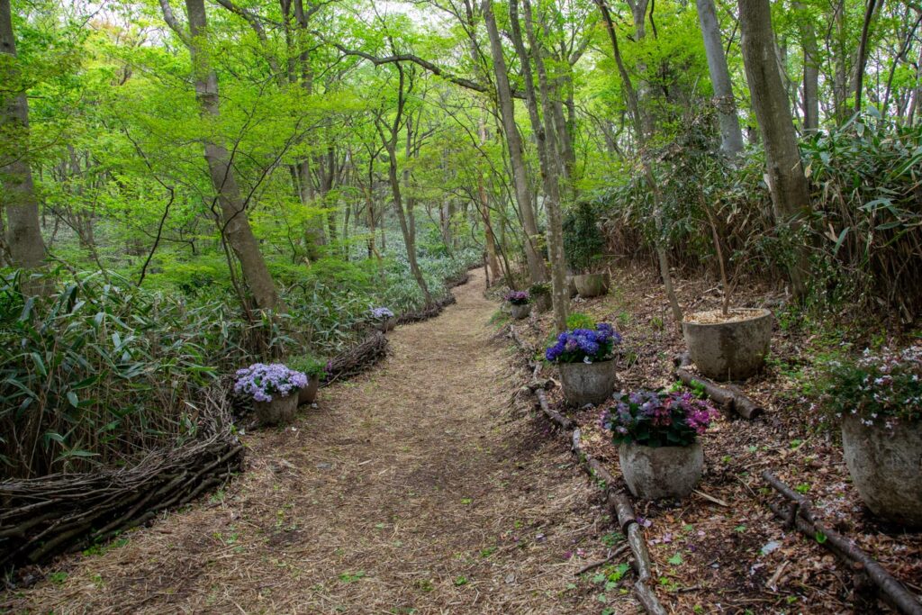 image of Nicolai Bergmann Hakone Gardens