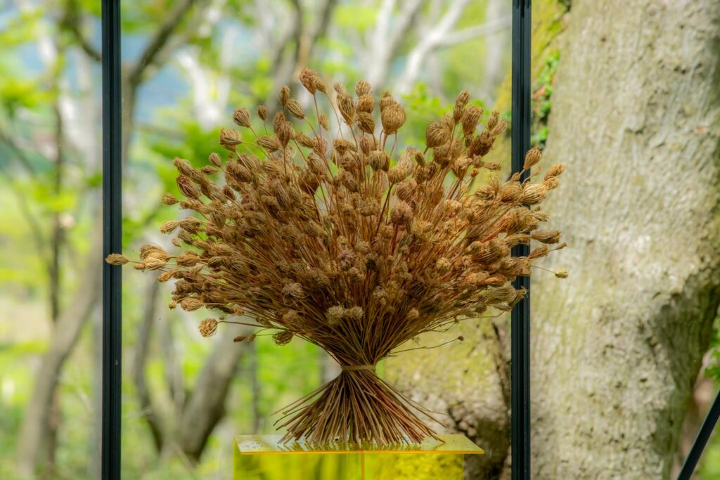 image of Nicolai Bergmann Hakone Gardens