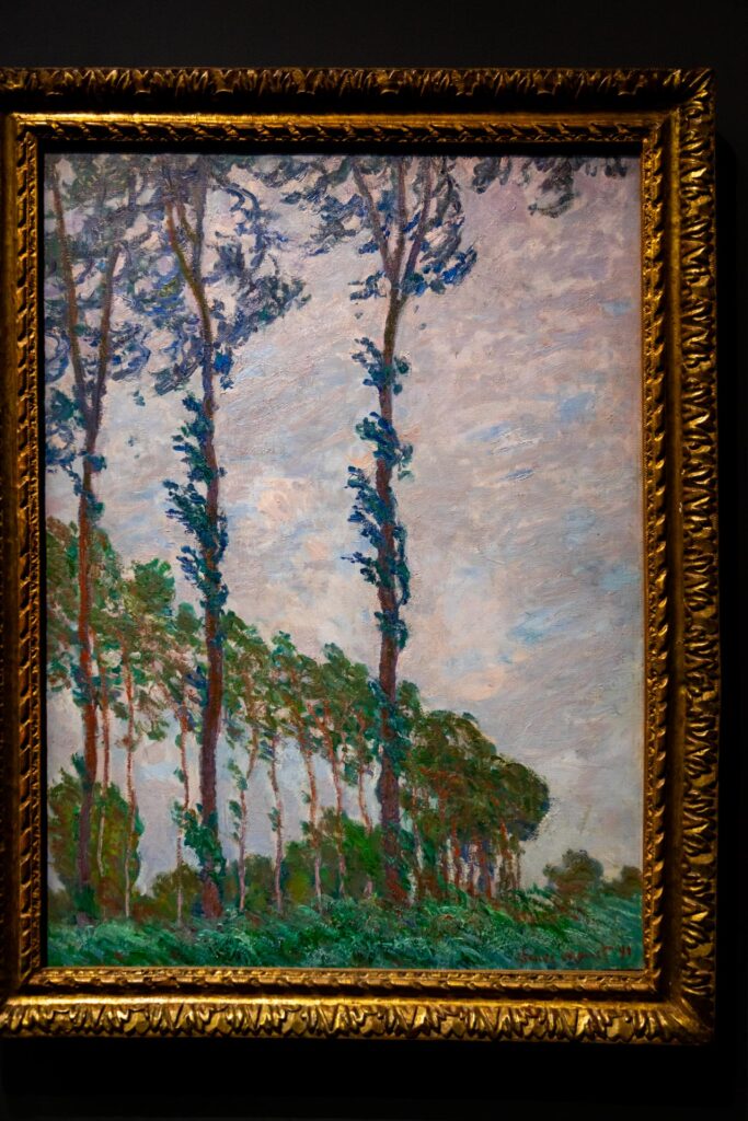 painting image of Monet at Orsay museum