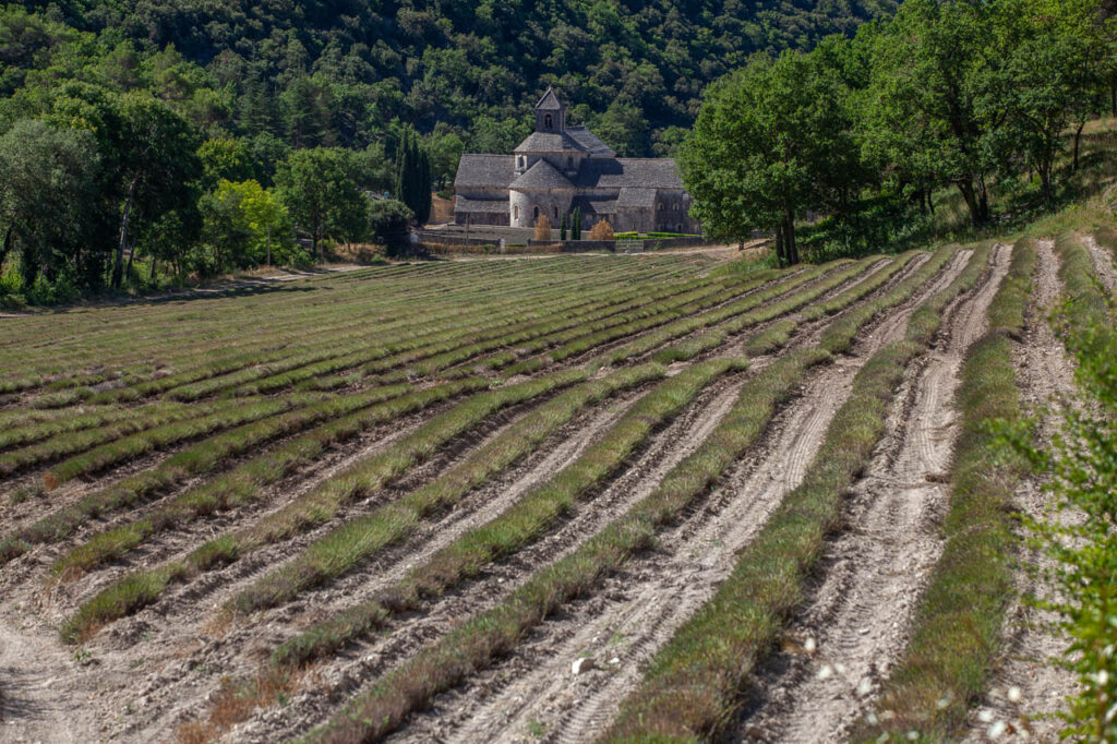 Notre Dame de Senanque Abbey, not far from Gordes