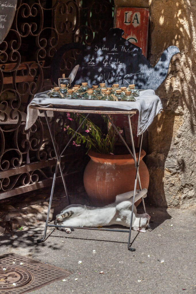 Lourmarin,one of the most beautiful villages in France