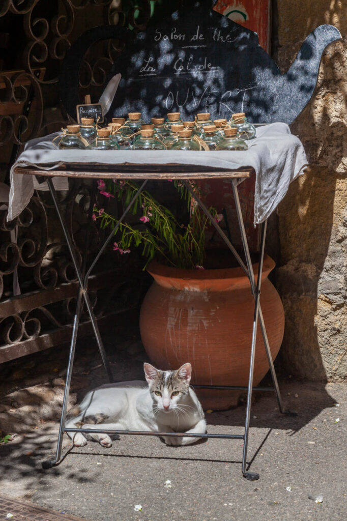 Lourmarin,one of the most beautiful villages in France