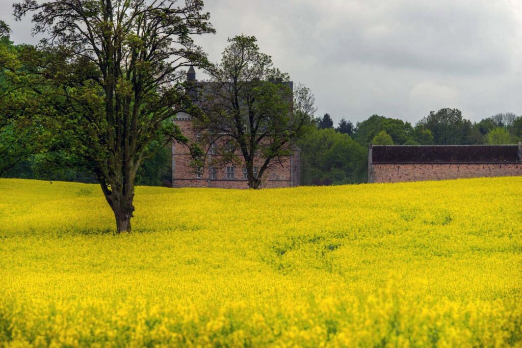 Beautiful scenery in the suburb of Tinlot