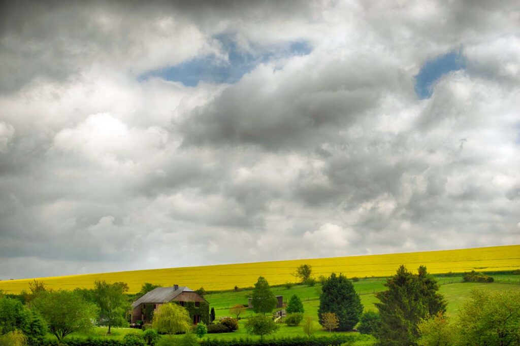 Pastoral landscape of Borlon