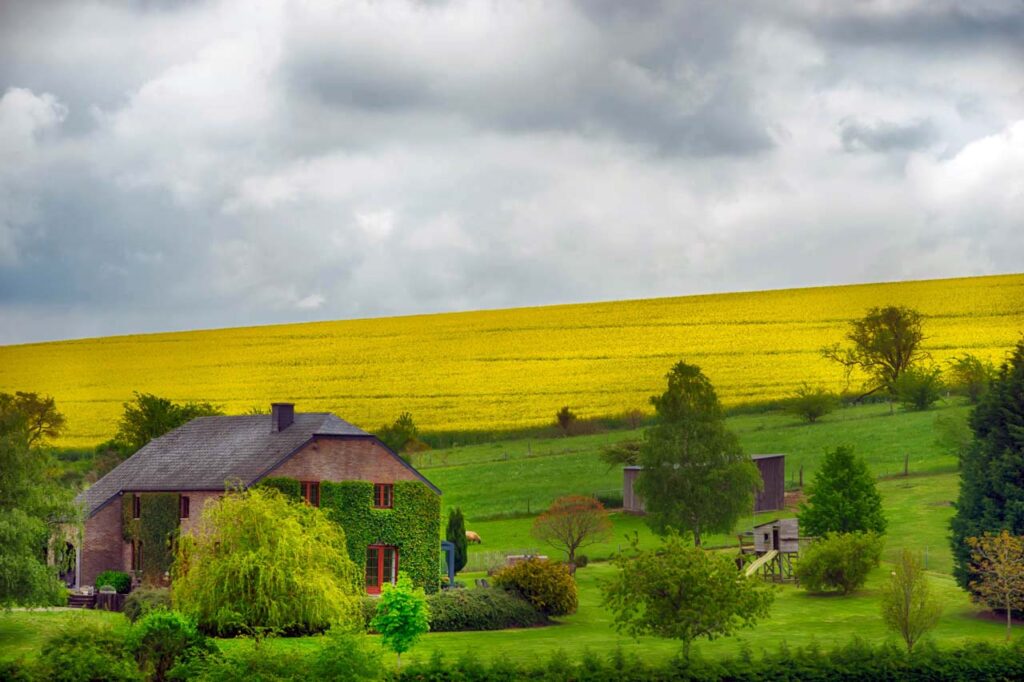 Pastoral landscape of Borlon