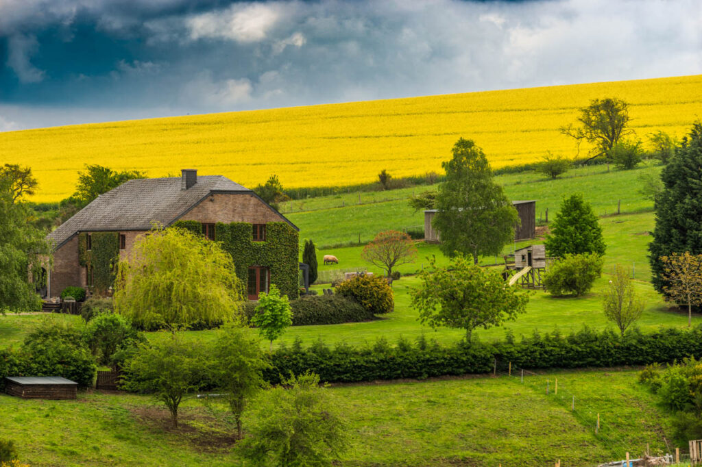 Pastoral landscape of Borlon