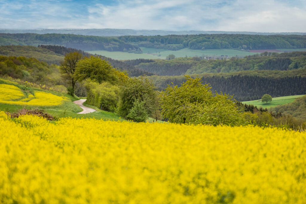 Bourscheid, a small, beautiful village in the north of Luxembourg