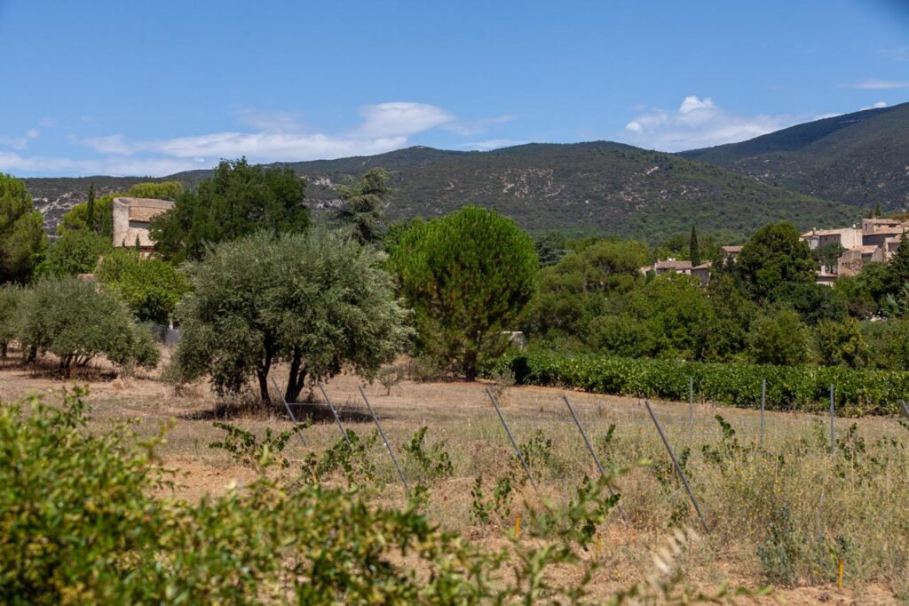 Lourmarin,one of the most beautiful villages in France