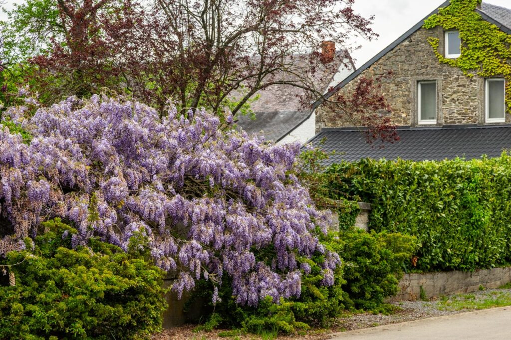 Sohier,one of  the most beautiful villages in Belgium